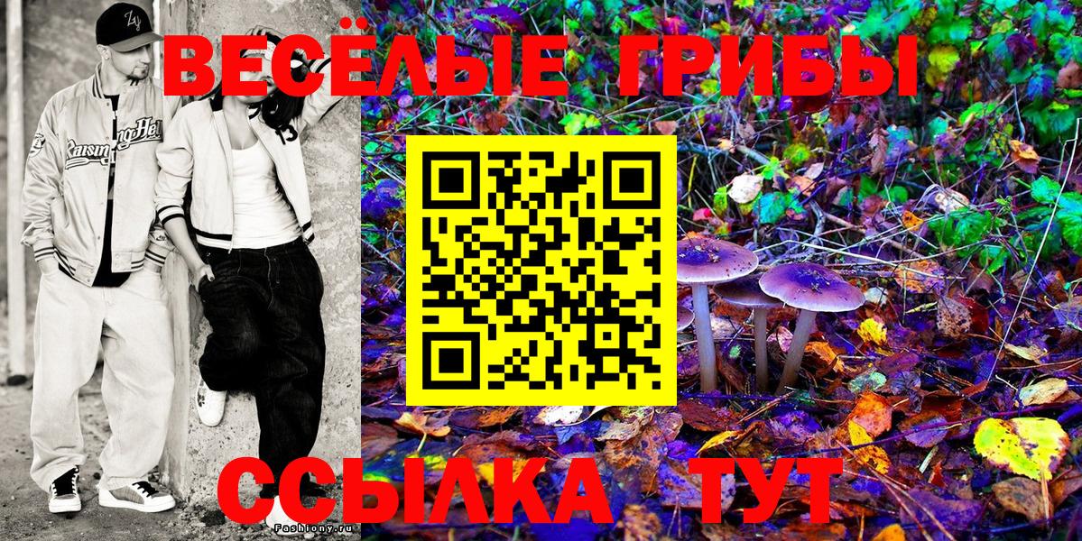 Галлюциногенные грибы Magic Shrooms  Галлюциногенные грибы прущие грибы  Вход с VPN  Реутов 